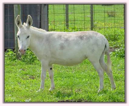 My World Rain Dancer