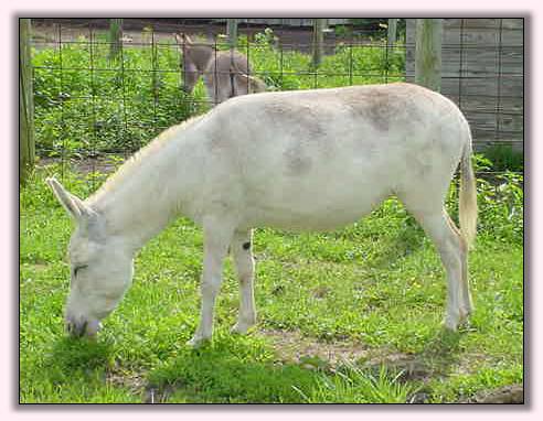 My World Rain Dancer