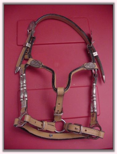 Miniature Silver Show Halter For Sale
