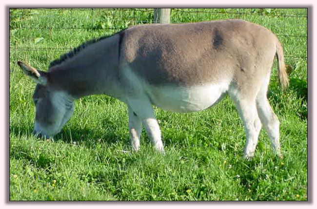 My World Mary Poppins