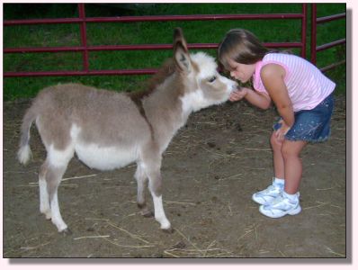 Abby kissing Two Dogs