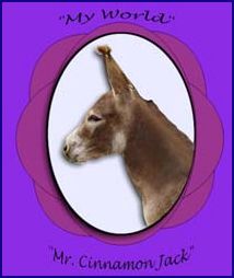 My World Cinnamon Jack (10,132 bytes)
