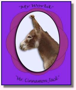 My World Cinnamon Jack