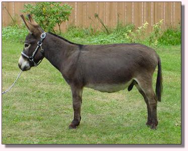 My World Dart ~ September 2006