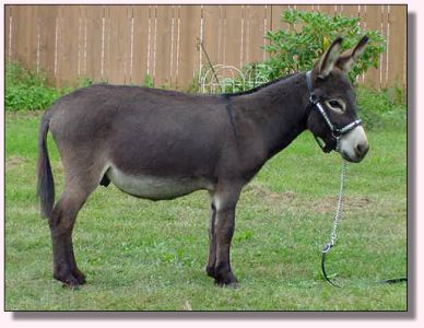 My World Dart ~ September 2006