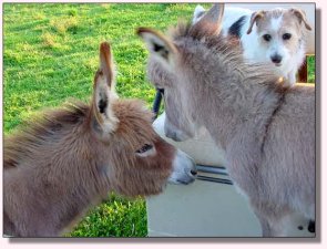 My World Dee Dee and JR