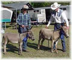 My World Dodger & his daughter, Lower Forty Chantilly (9833 bytes)