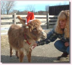 My World Go for the Gusto