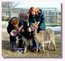 My World Hilda & My World Barney (11,420 bytes)