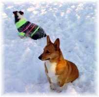 JR & Boris (5112 bytes)