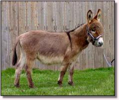 Datota Red April, 2002 (10,914 bytes)