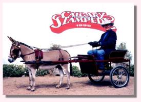 My World Poncho Via (11,794 bytes)