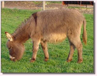 My World Morning Star ~ April 2005