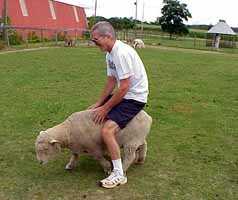 Joe & Noah (7308 bytes)