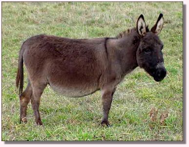 Click photo to enlarge image