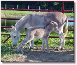 My World Peppermint Twist & Dam, My World April Storm