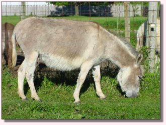 My World Precious - May 2005