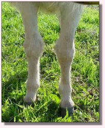 My World Precious - May 2005