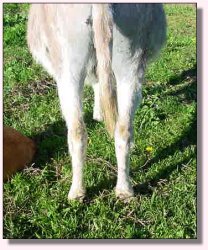 My World Precious - May 2005