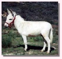 My World Preston (9875 bytes)