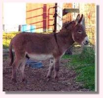 My World Trevor, ask Booger (9643 bytes)