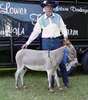 My World Dodger winning 1st place! (6904 bytes)