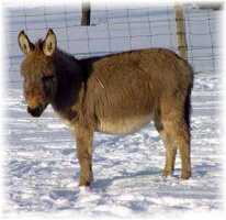 My World's Maxx (6522 bytes)