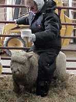 Ride 'em Cowboy, Loretta! (6309 bytes)